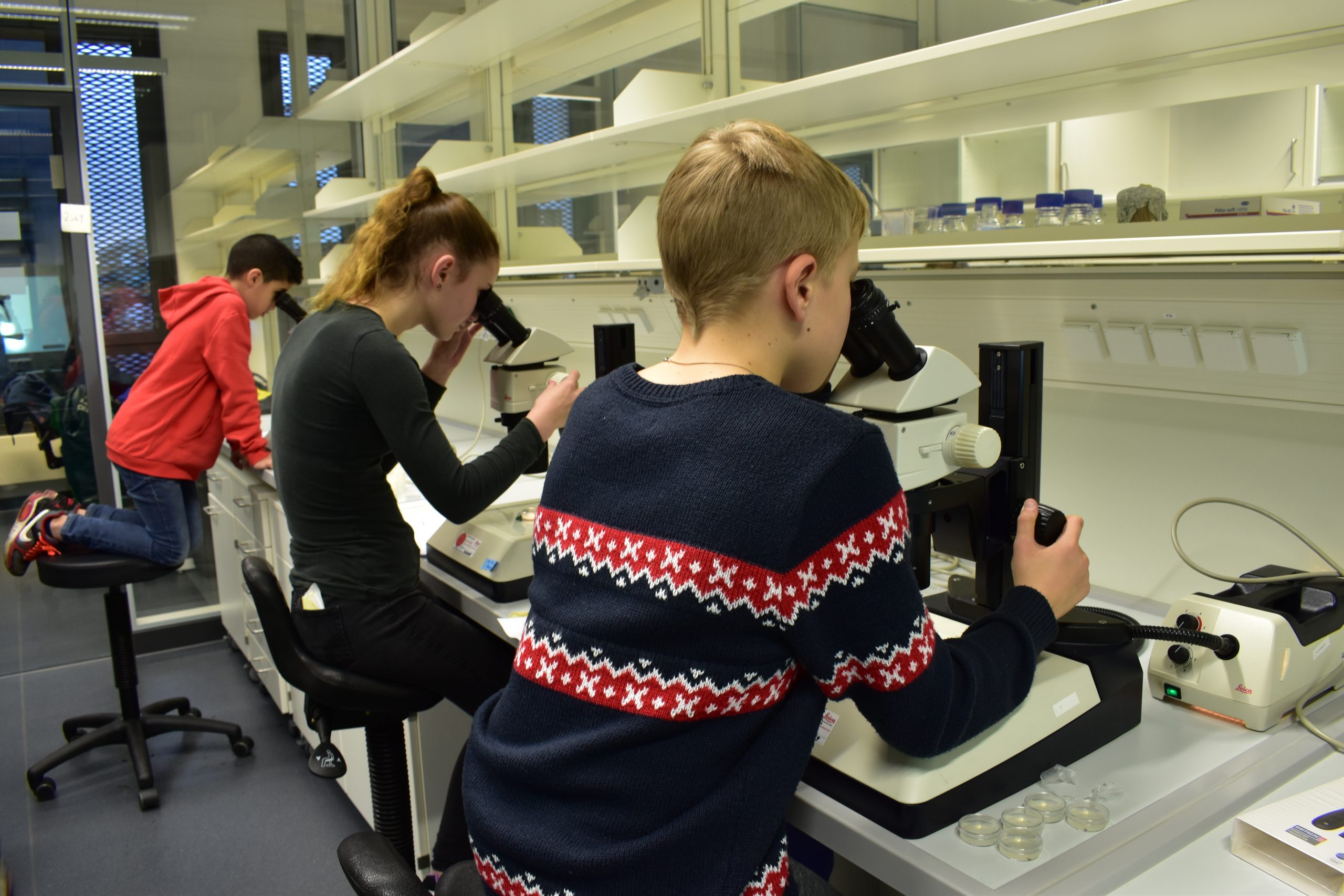 Beobachtungen in der Tierwelt Wie bei Fischlarven beim Schmecken ein Licht angeht