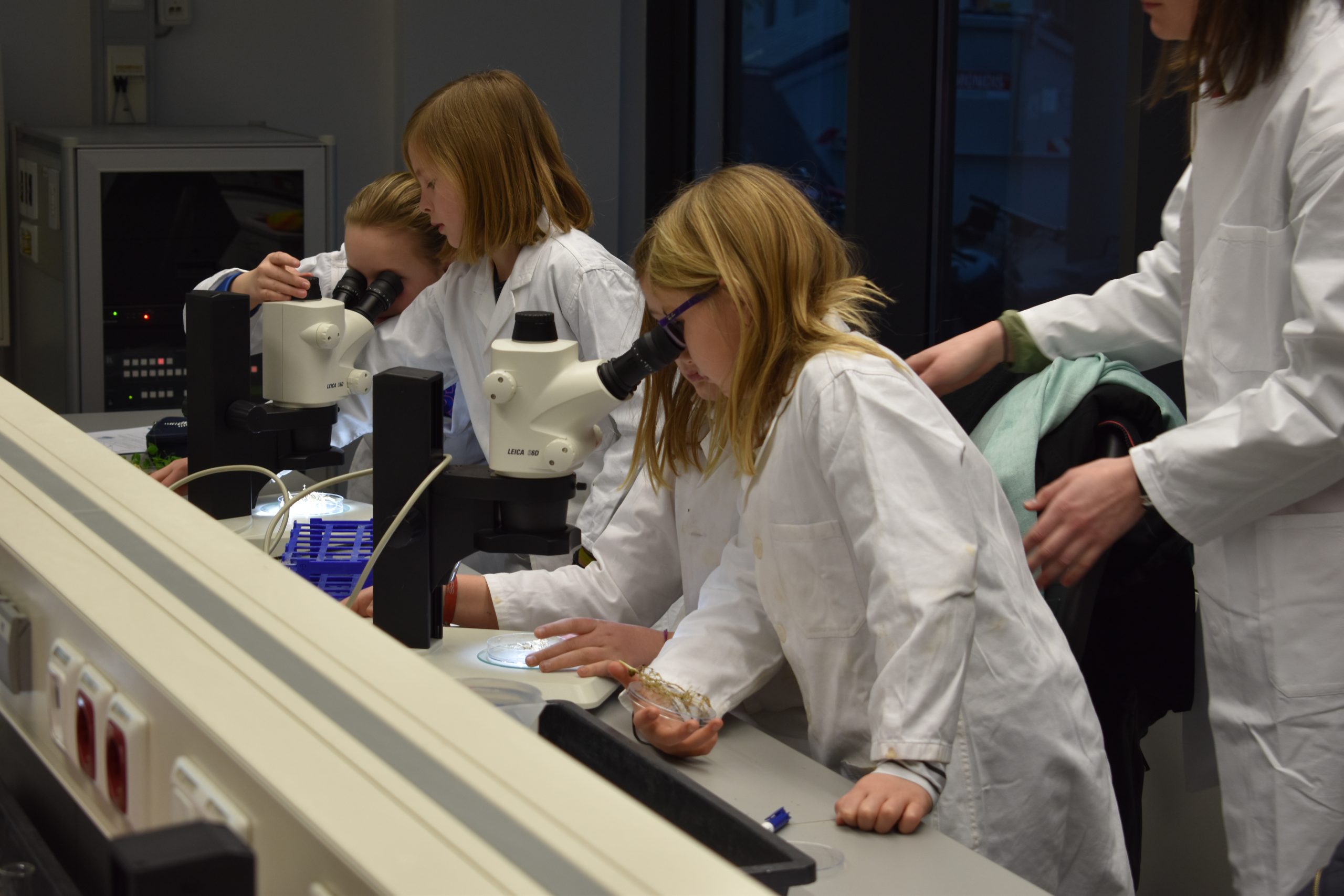 Goodbye Chemo – goodbye Krebs